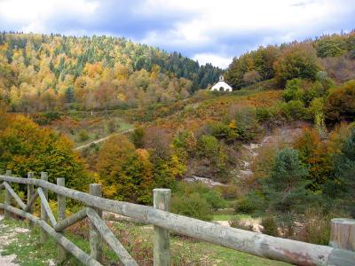 Excursion dans les canyons de Lumbier et d'Arbaiun, dans la Forêt d'Iraty et Ochagavía